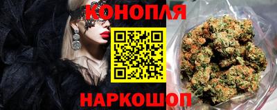 МДПВ Рыбинск