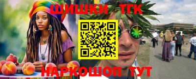 МДПВ Рыбинск