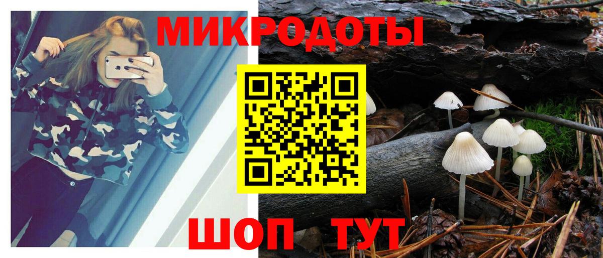 Галлюциногенные грибы MAGIC MUSHROOMS Сафоново