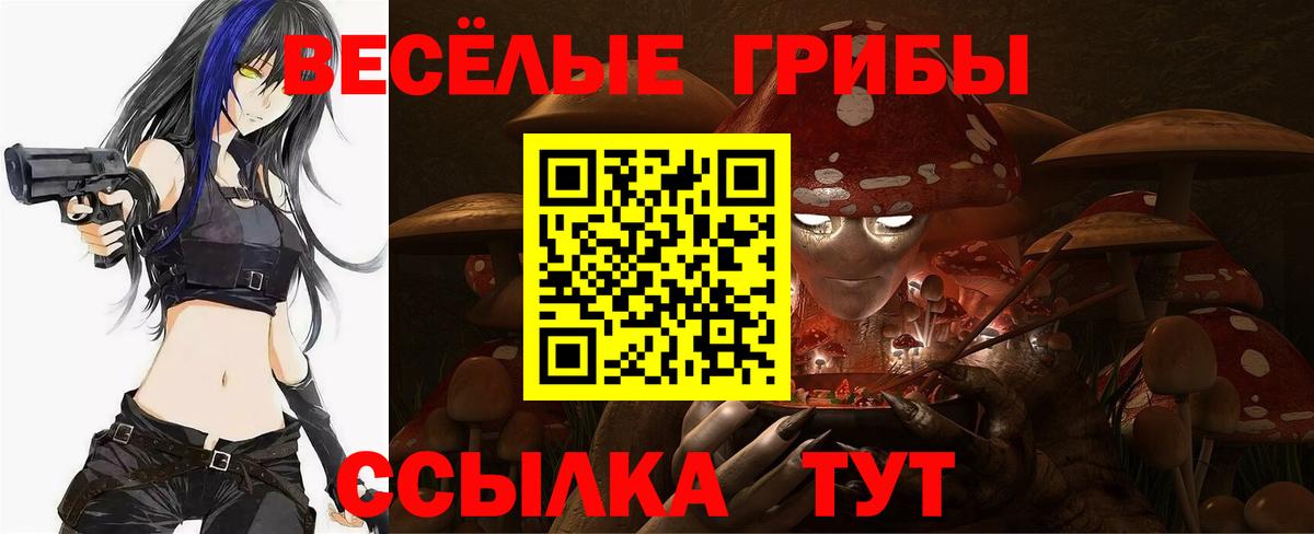Сафоново  Псилоцибиновые грибы Magic Shrooms  Вход с VPN 